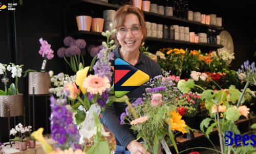 Winkelmedewerker-bij-van-beest-bloemen